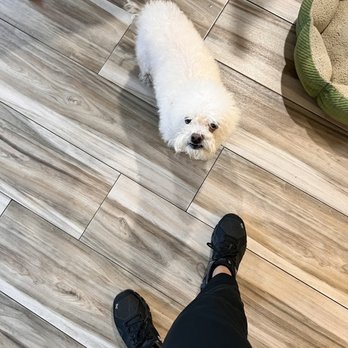 Mid Valley Veterinary Hospital - Recovering - Veterinarians Near Me - Van Nuys, California Mid Valley Veterinary Hospital - Recovering - Veterinarians Near Me - Van Nuys, California