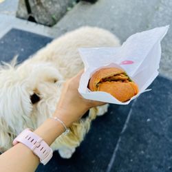Obanhmi - Banh mi!