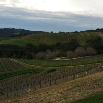 Opolo Vineyards - Pre sunset - Wineries Near Me - Paso Robles, California Opolo Vineyards - Pre sunset - Wineries Near Me - Paso Robles, California