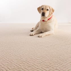 Carpet USA