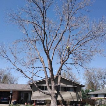 Rowan Tree Care - Tree Services Near Me Rowan Tree Care - Tree Services Near Me