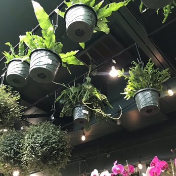 Nicholson-Hardie - Nurseries & Gardening Near Me - Dallas, Texas Nicholson-Hardie - Nurseries & Gardening Near Me - Dallas, Texas