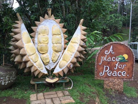 Eden Nature Park & Resort by null