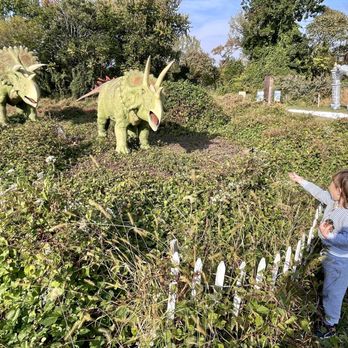 Field Station: Dinosaurs - Look over there! - Amusement Parks Near Me - Leonia, New Jersey