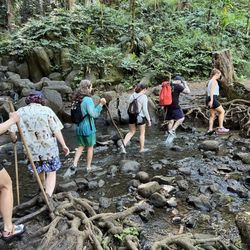 Rainbow Kayak Tours - Other water crossings.  Have GOOD shoes!