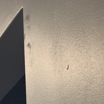 Solution Painting - Again, flat paint appears to be on the satin walls - Painters Near Me - Annandale, Virginia Solution Painting - Again, flat paint appears to be on the satin walls - Painters Near Me - Annandale, Virginia