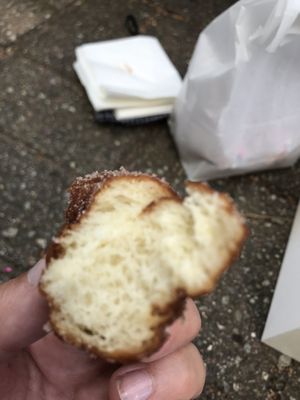 Young Buns Doughnuts by null