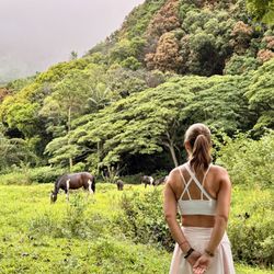 Waipio Valley Shuttle - Wild Spanish Mustangs