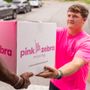 Pink Zebra Moving of Mobile
