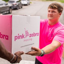 Pink Zebra - Mobile