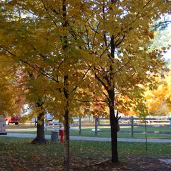 Kestelwoods Campground