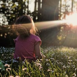Hope Healing and Wholeness