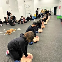 CPR Certification