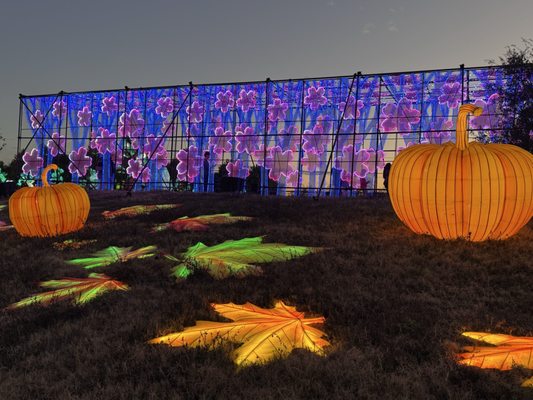Houston Botanic Garden by null