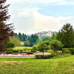 Lawson Gardens - Aug 6 2023