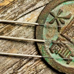 The Village Acupuncturist