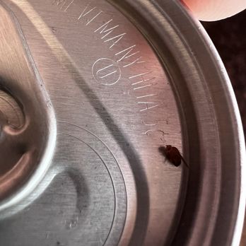 Kikey's Cafe - dead bug in my soda can. - Breakfast & Brunch Near Me - Burien, Washington