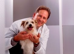 Slide of Rc's Roofing