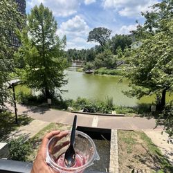 Za'Acai Cafe - Banged in the park with the trees, the birds and the bees