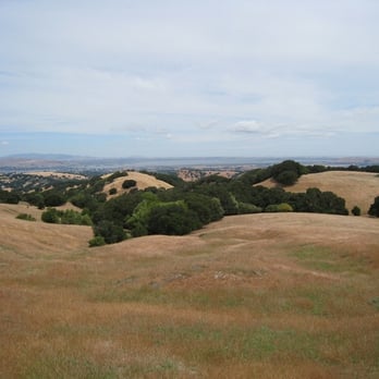 Briones Regional Park - Parks Near Me - Martinez, California Briones Regional Park - Parks Near Me - Martinez, California