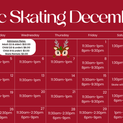 Steel Ice Center - Come skate with us at any of our public skating sessions! For a full list of our public skating sessions please visit us at http://www.steel