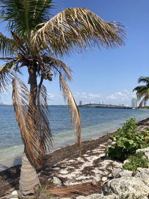 Hobie Island Beach by null