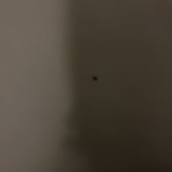 Quality Inn Near Princeton