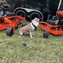 Photo of Walters Southern Lawn Care