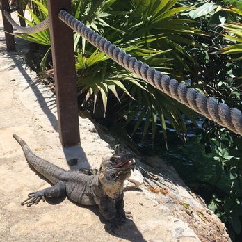 Xel-Há - Amusement Parks Near Me - Tulum, ROO