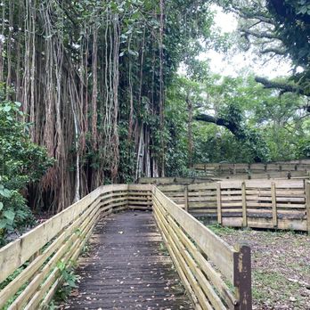 Tree Tops Park - Parks Near Me - Davie, Florida Tree Tops Park - Parks Near Me - Davie, Florida