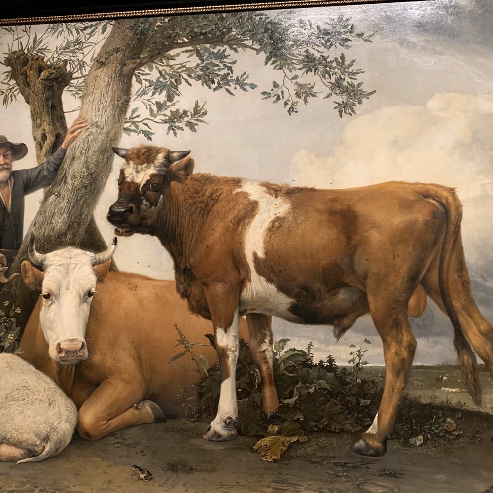 Mauritshuis - Museums Near Me - Den Haag, ZH Mauritshuis - Museums Near Me - Den Haag, ZH