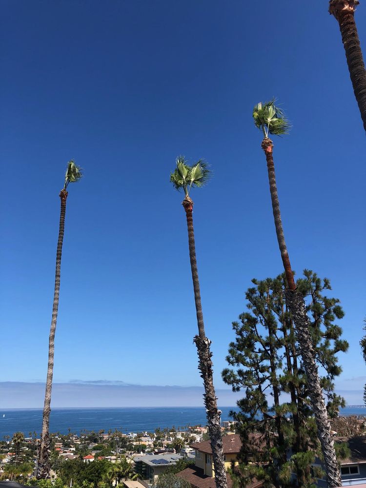 E B PROFESSIONAL TREE SERVICE Updated September 2024 15 Photos