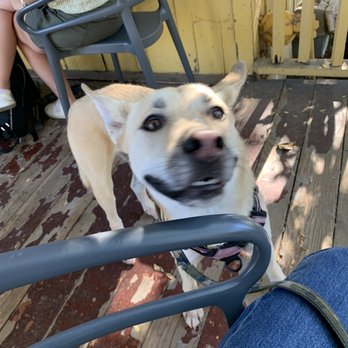 Los Rios Historic District - Hidden House Coffee with doggo - Landmarks & Historical Buildings Near Me - San Juan Capistrano, California Los Rios Historic District - Hidden House Coffee with doggo - Landmarks & Historical Buildings Near Me - San Juan Capistrano, California