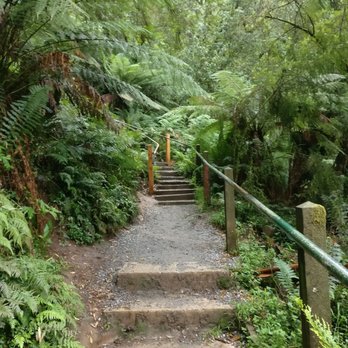 1000 Steps - Hiking Near Me - Upper Ferntree Gully, VIC 1000 Steps - Hiking Near Me - Upper Ferntree Gully, VIC
