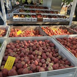 High Country Orchard