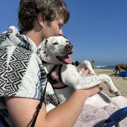 Priceless Pet Rescue - Costa Mesa