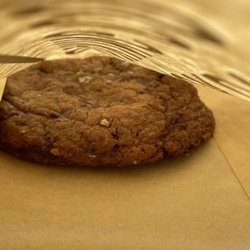 Brown butter chocolate chip cookie