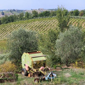 Il Vecchio Maneggio - Bed & Breakfast Near Me - San Gimignano, SI