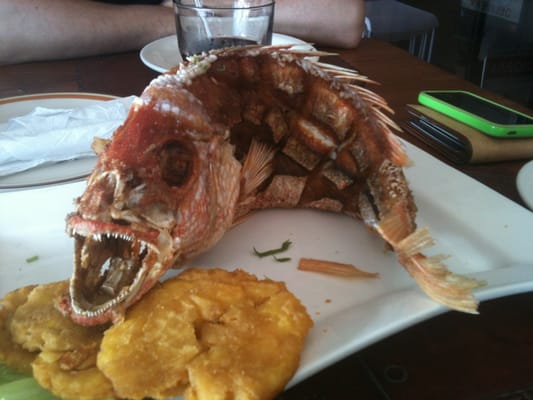 Pachamanka Authentic Peruvian Cuisine by null