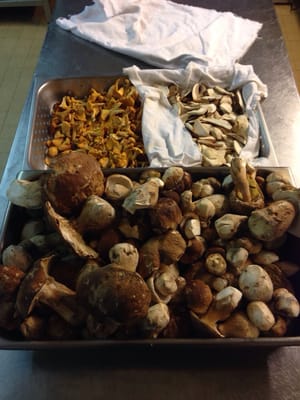 Auberge de la Poste by null