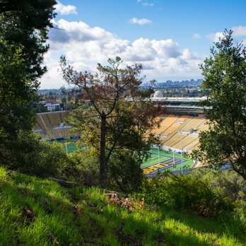 The Big C - Local Flavor Near Me - Berkeley, California