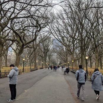 Central Park Conservancy - Instagram: @telephonesmoothie - Parks Near Me - New York, New York Central Park Conservancy - Instagram: @telephonesmoothie - Parks Near Me - New York, New York