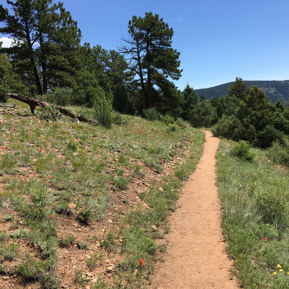 Reynolds Park Open Space - Some parts are indeed not shaded - mainly ravens roost the right arm - Hiking Near Me - Conifer, Colorado