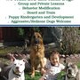 Photo of Bay Area Family K-9 Training