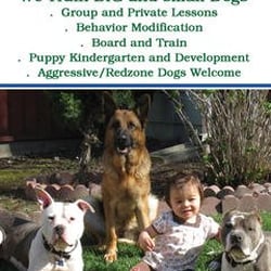 Bay Area Family K-9 Training