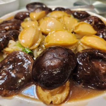 Hong Kong Palace - Dim Sum Near Me - Millbrae, California Hong Kong Palace - Dim Sum Near Me - Millbrae, California