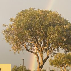 Town Center of Mililani - 1-3-22