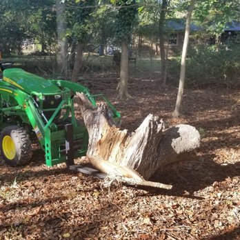 Hunter Excavating - Removing old trees stumps - Landscaping Near Me Hunter Excavating - Removing old trees stumps - Landscaping Near Me