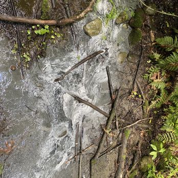 Flaming Geyser State Park - Parks Near Me - Auburn, Washington