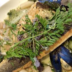 Teca Newtown Square - Imported Sea Bass seared alla plancha w/pasta e fagioli. escarole, bay scallops & mussels in a vermouth sauce (very flavorful dish)